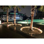 Underwater Lights