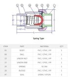 SHIEYU SINGLE UNION SPRING CHECK VALVE 2" - Image 4
