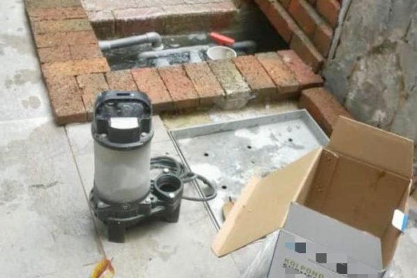 Fish Ponds Investigation (2)