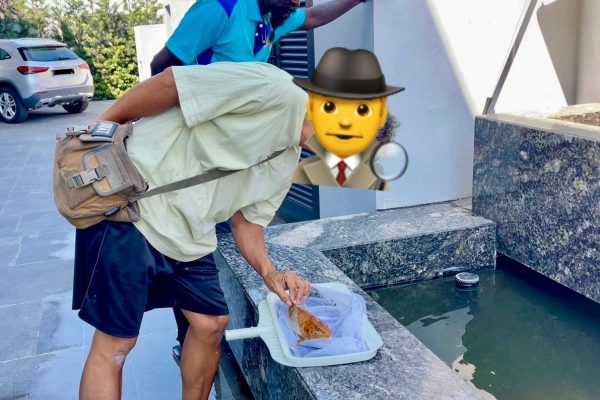 Fish Ponds Investigation (5)